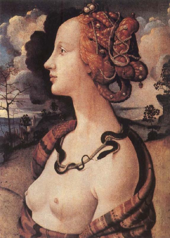 Piero di Cosimo Portrait of Simonetta vespucci china oil painting image
